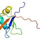 amiotrophic