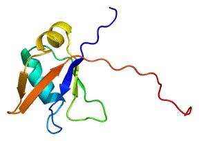 amiotrophic