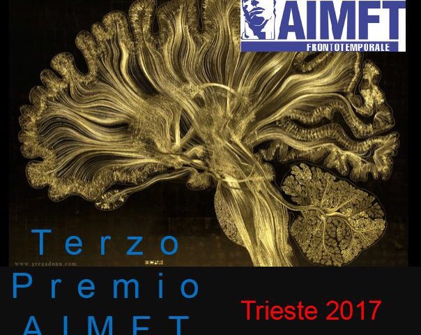 Terzo AIMFT