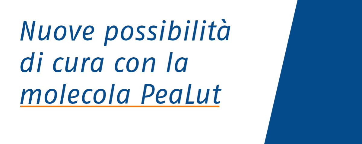 wp_molecola pealut